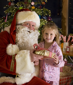 Hire a Santa