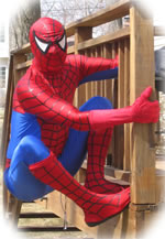 Comic book super hero